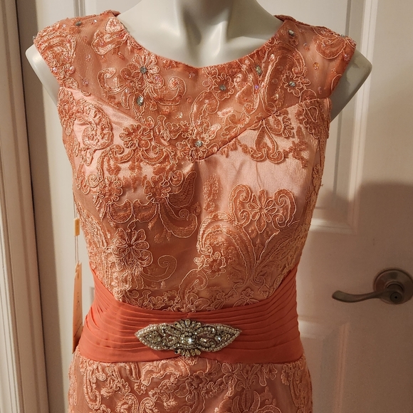 Pink new with tags wedding lace dress size 10 - Picture 3 of 10